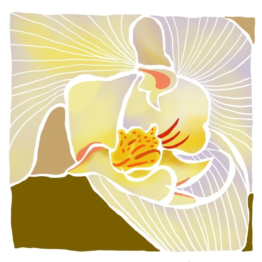 White Moth, LE Giclée Print, 8x8"