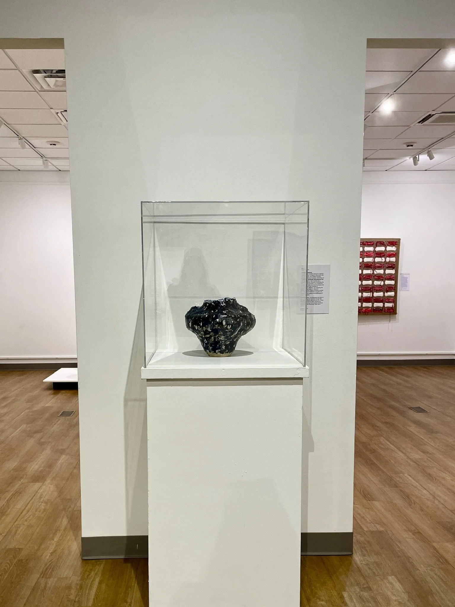 Made in NY, Schweinfurth Art Center, Auburn, NY (2025)