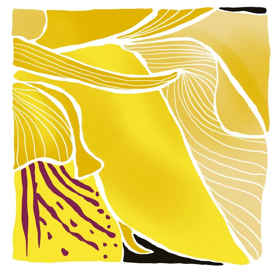 Purple Cymbidium, LE Giclée Print, 8x8"