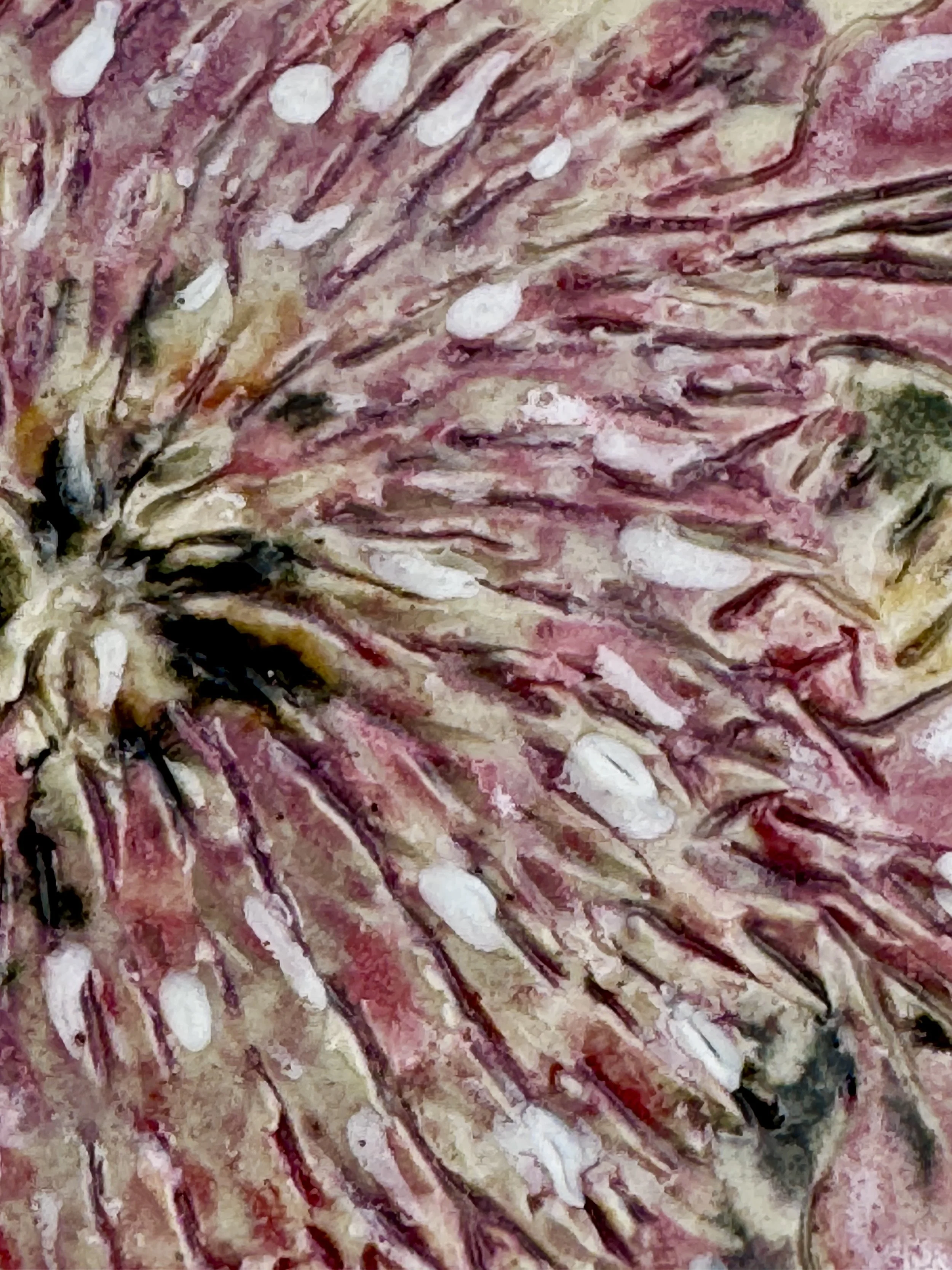 Purple Clematis (Painting on Stoneware)