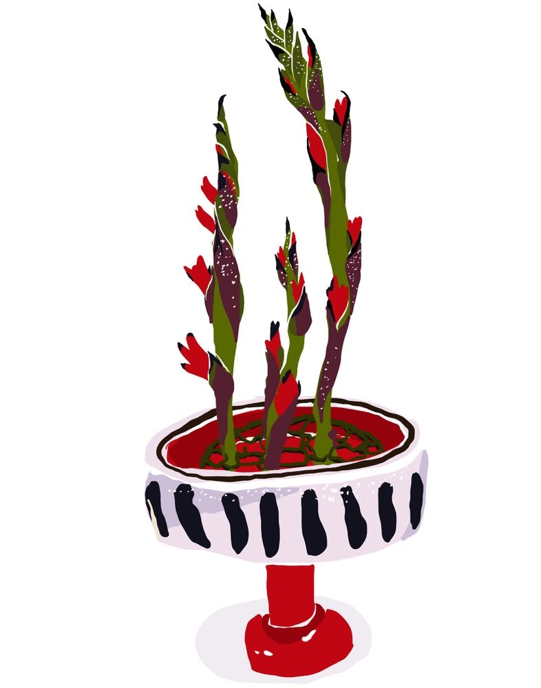 Paradise-- My Vases Series