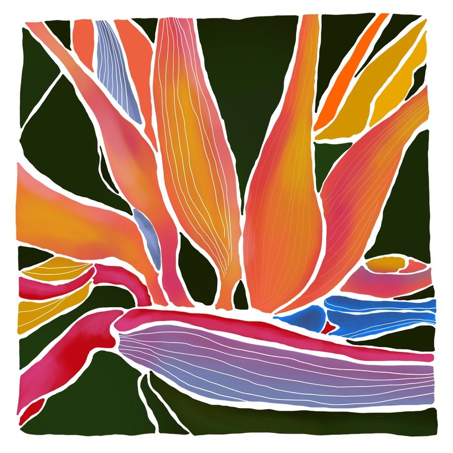 Paradise-- One Fine Day Series