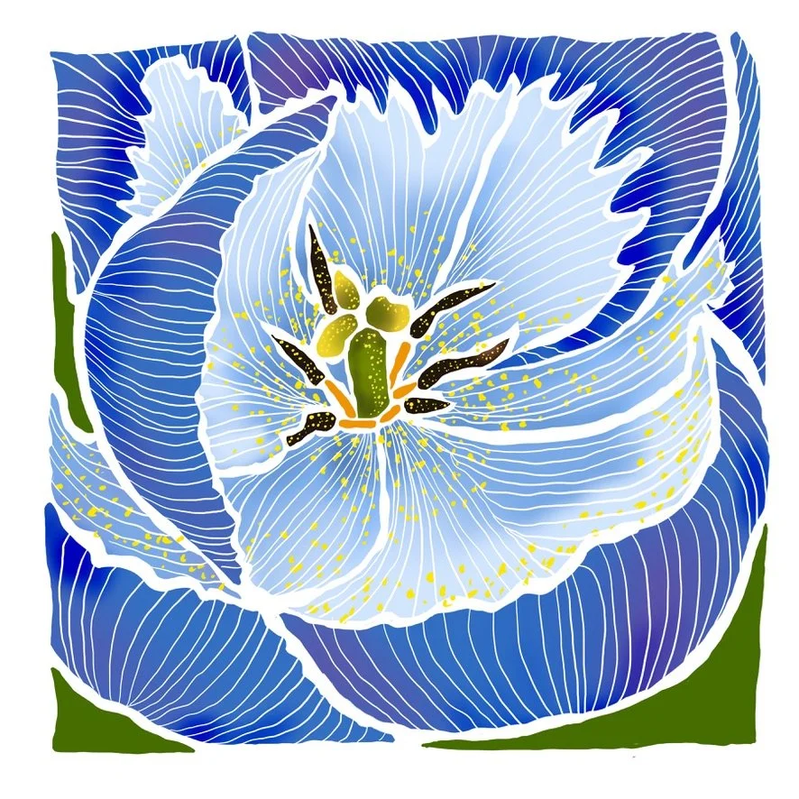 Blue Tulip, LE Giclée Print, 8x8"