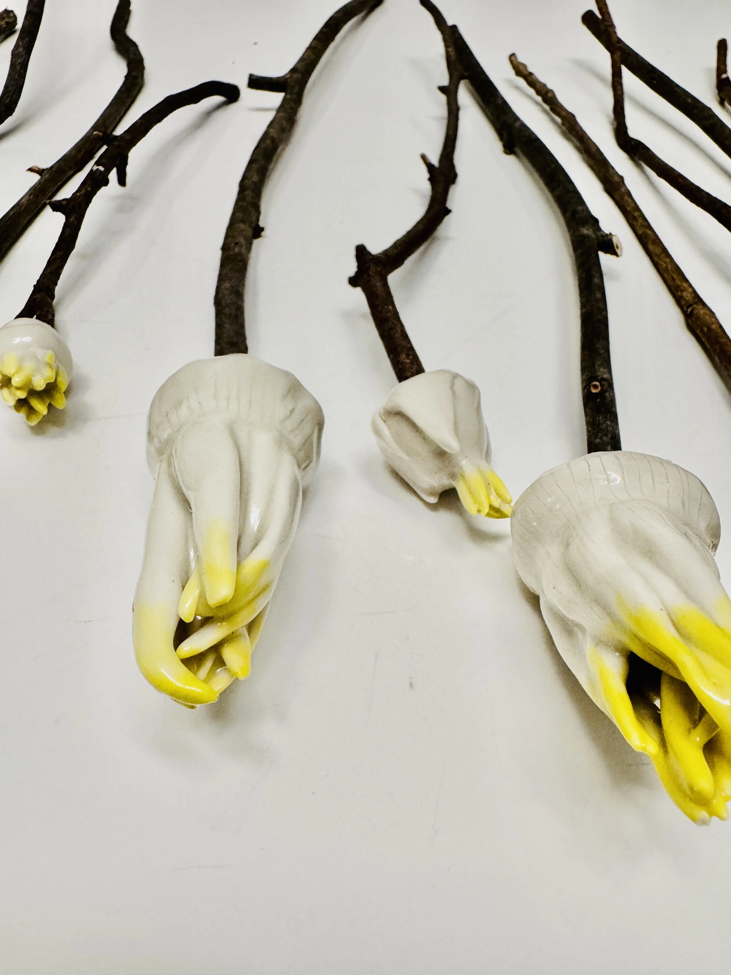 Ceramic Flowers
