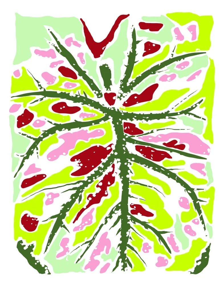 Bittersweet, LE Giclée Print, 16x20”