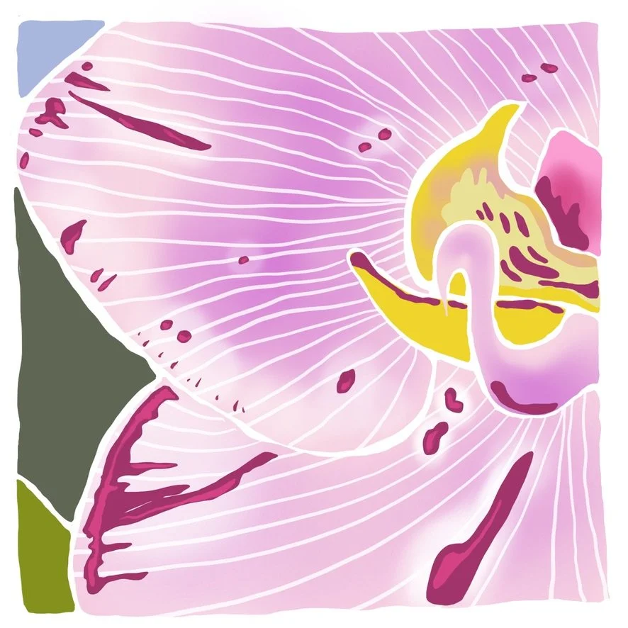 Pink Moth, LE Giclée Print, 8x8"