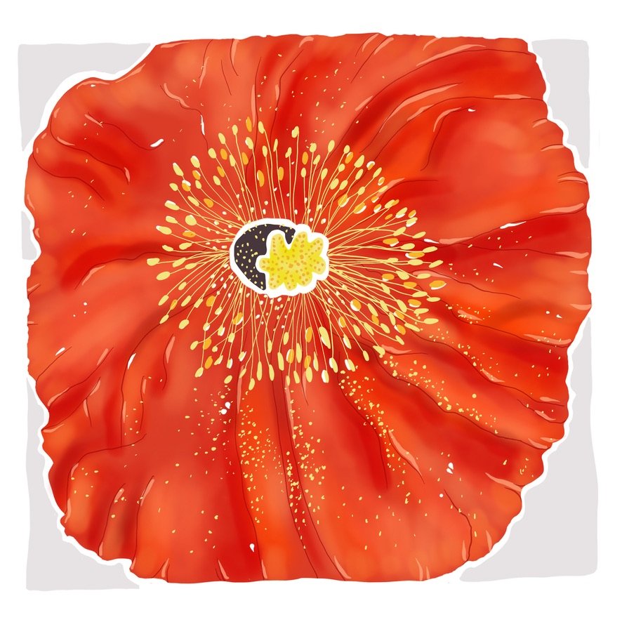 Poppy-- One Fine Day Series