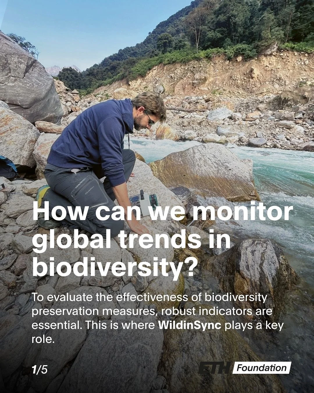 Biodiversity is under threat. To make sure that preservation measures are effective, the WildinSync initiative, launched by Professor Lo&iuml;c Pellissier at ETH Z&uuml;rich, is monitoring global trends in biodiversity, using eDNA, satellite data and