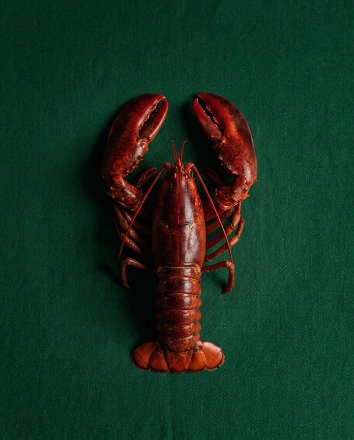 Sin Mantel es una marisquer&iacute;a informal. Marisco de calidad pero sin ceremonias. 

Branding passion project by us💚🦞🍽️