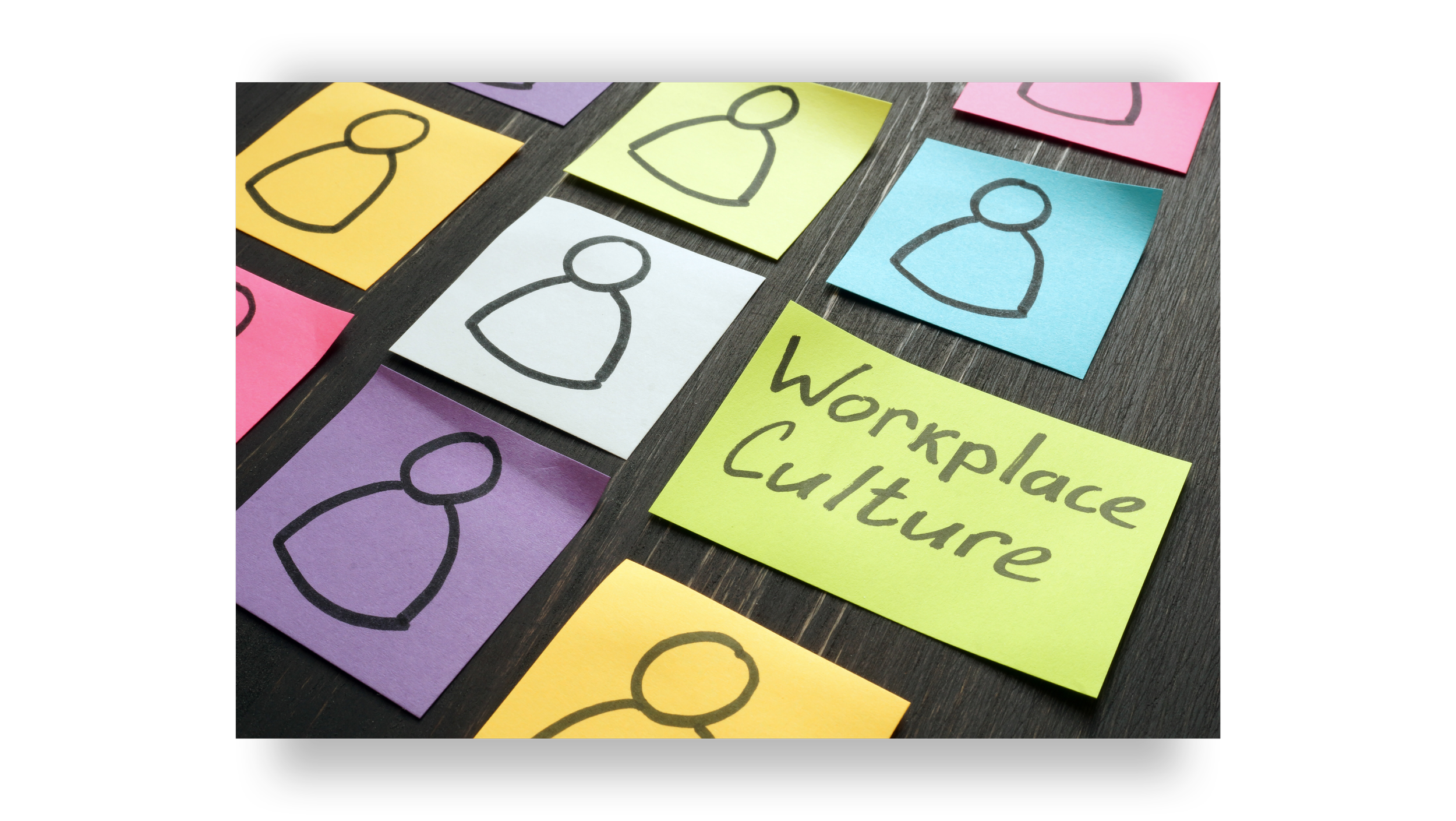 Workplace Culture | MMWS