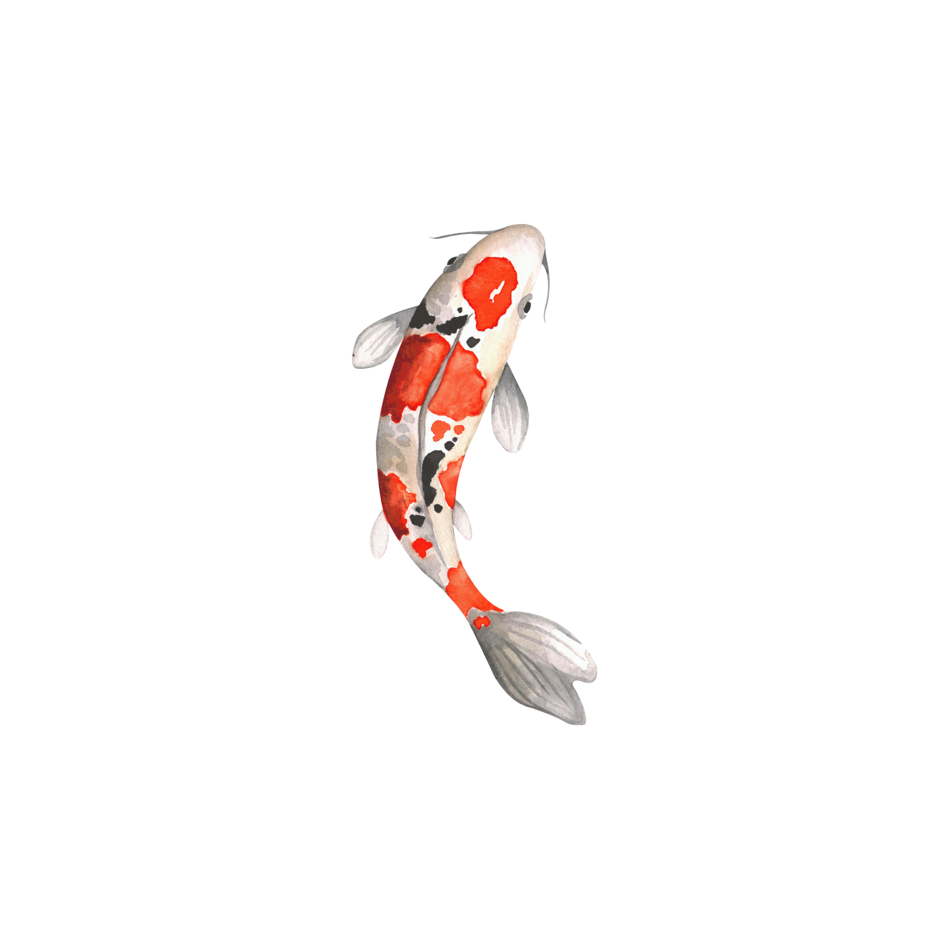 Breach-of-Contract-employment-law