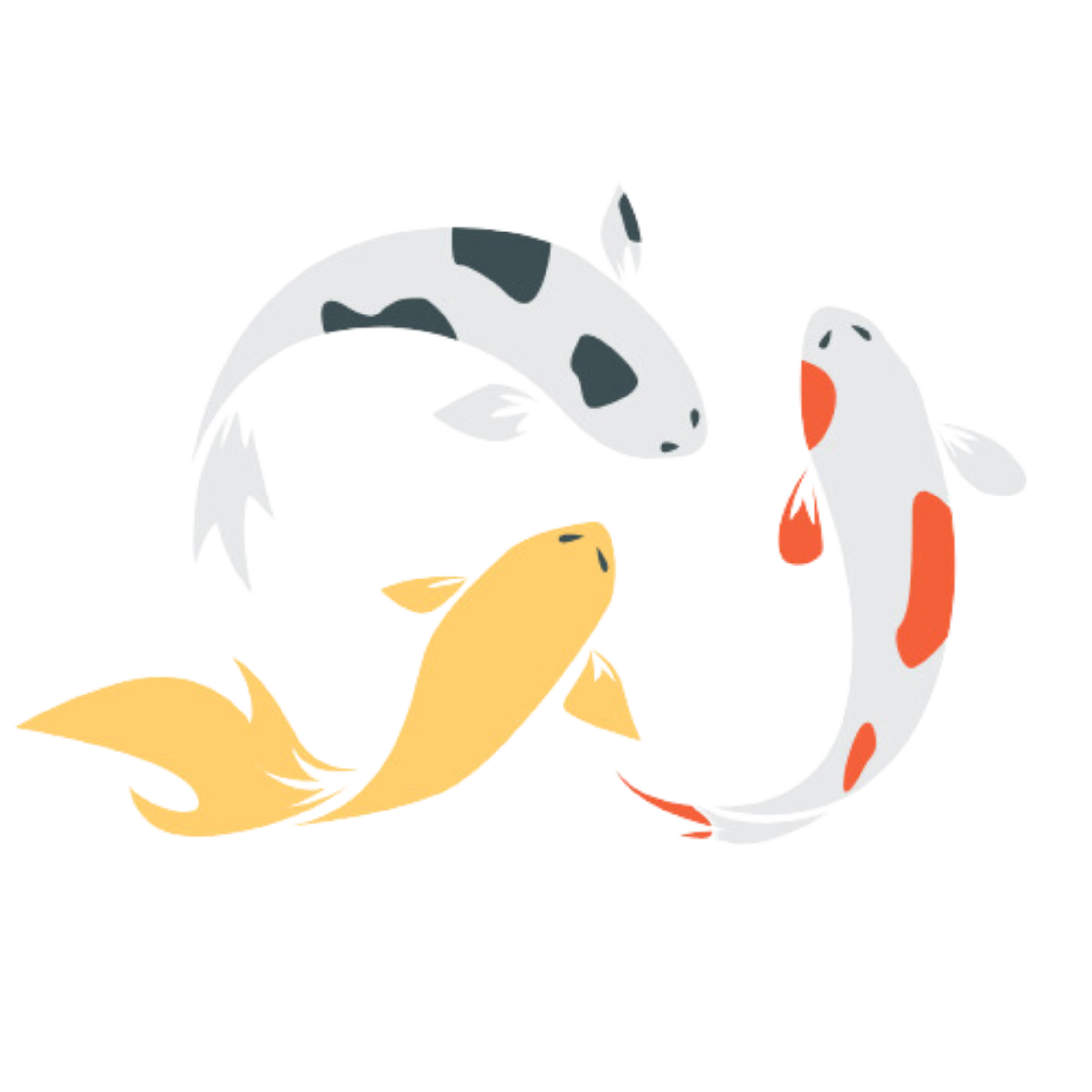 mmws koi