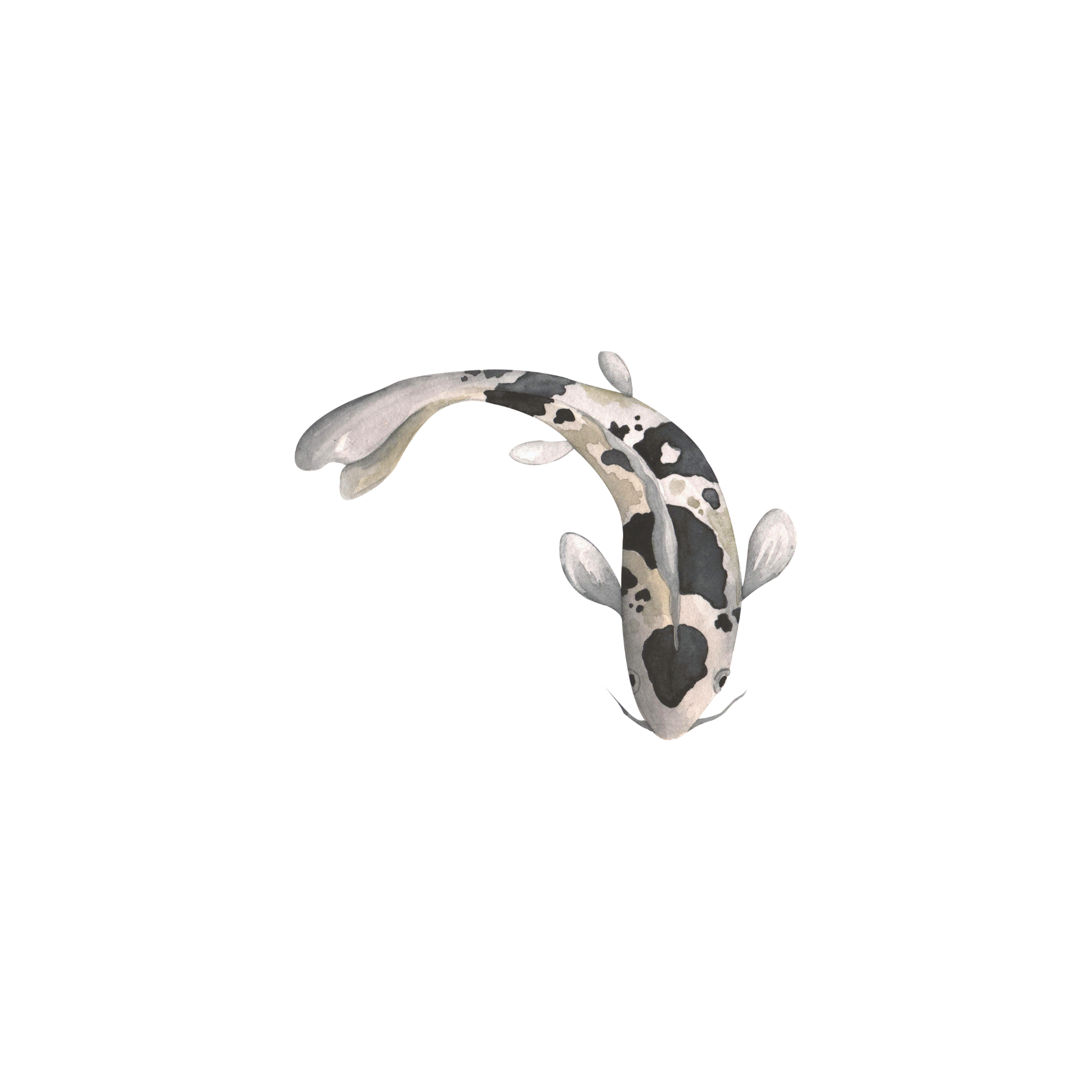 unfair-dismissal-employment-law