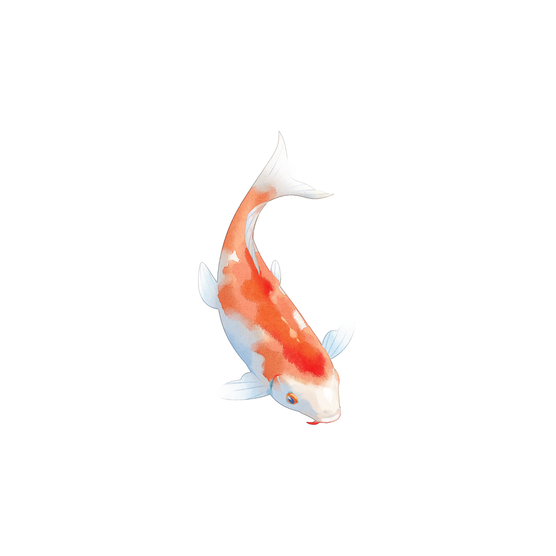 discrimination-employment-law