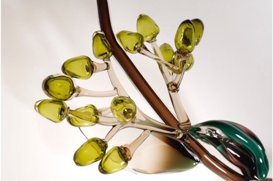 Vinifera - Fantasy Plants by Michèle Oberdieck 2.jpg