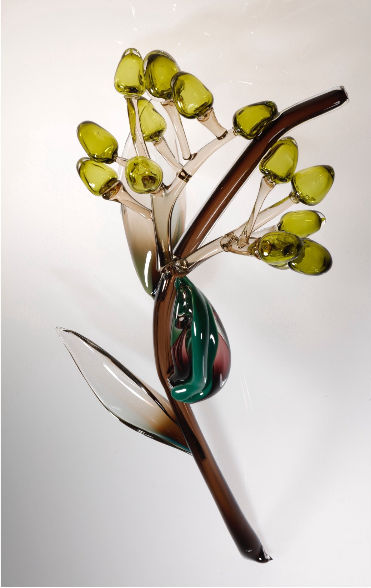 Vinifera - Fantasy Plants by Michèle Oberdieck.jpg