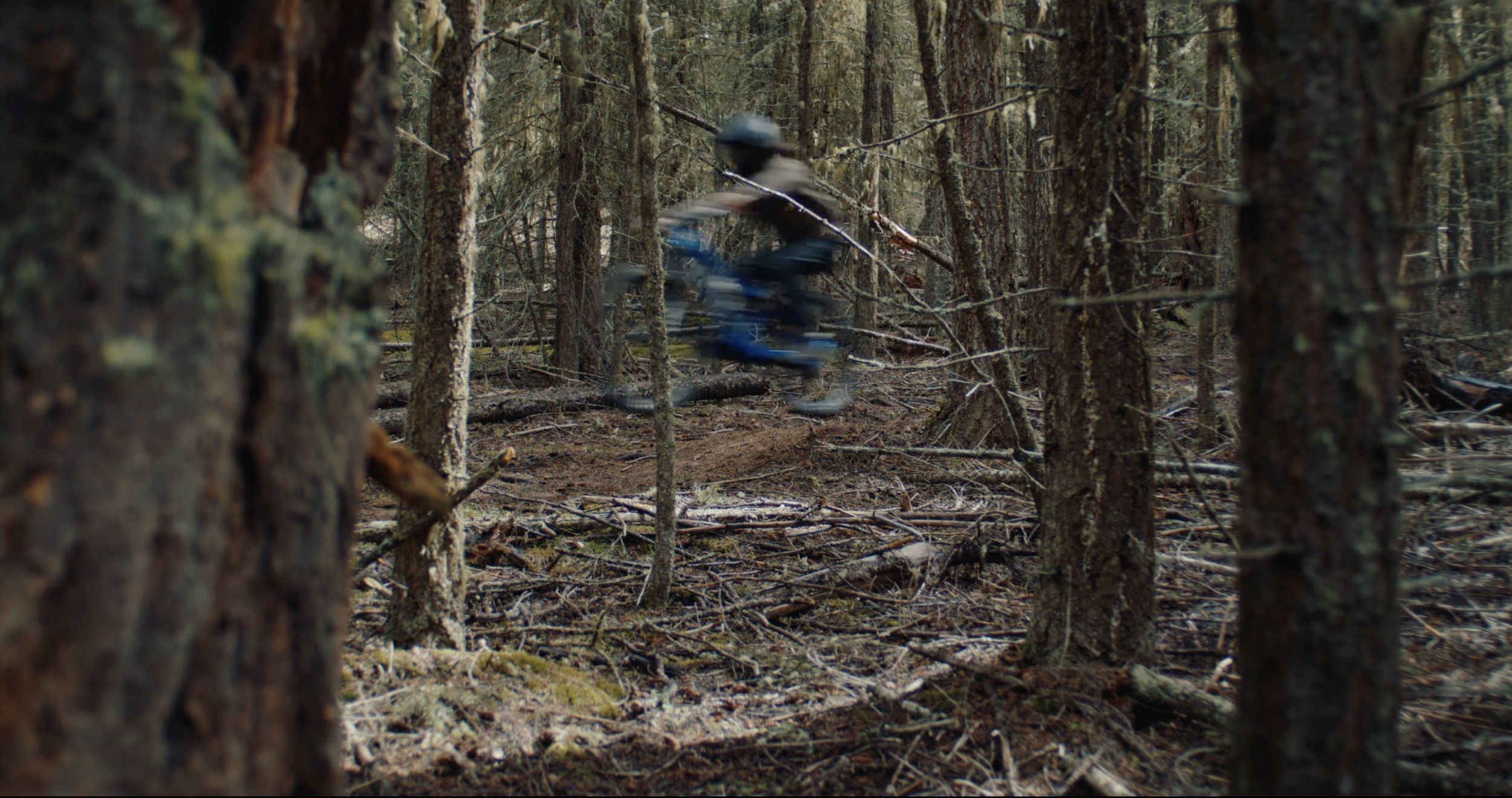 Screenshot 2026-04-16 at 5.14.49 PM.png