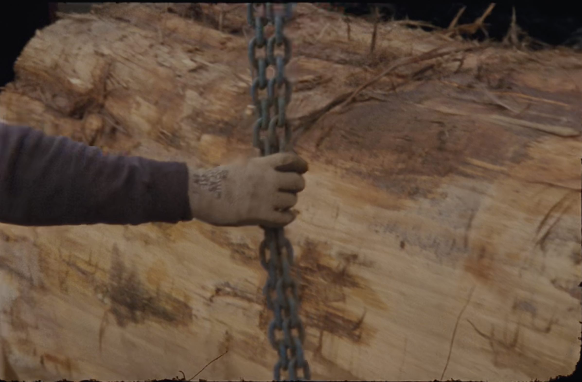 KB16 - Experimental Documentary