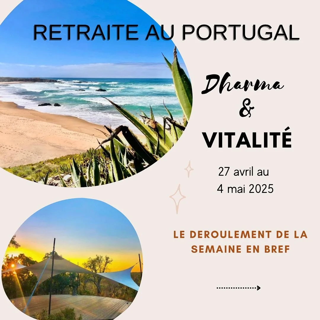 🔥Voici un aper&ccedil;u de ce qui t&rsquo;attend dans la retraite au Portugal!

Commente Portugal si tu veux plus d&rsquo;infos!
🌅🇵🇹🧘&zwj;♀️

O&ugrave;: Pachawa Retreat center, Portugal
Quand: 27 avril au 4 mai 2025