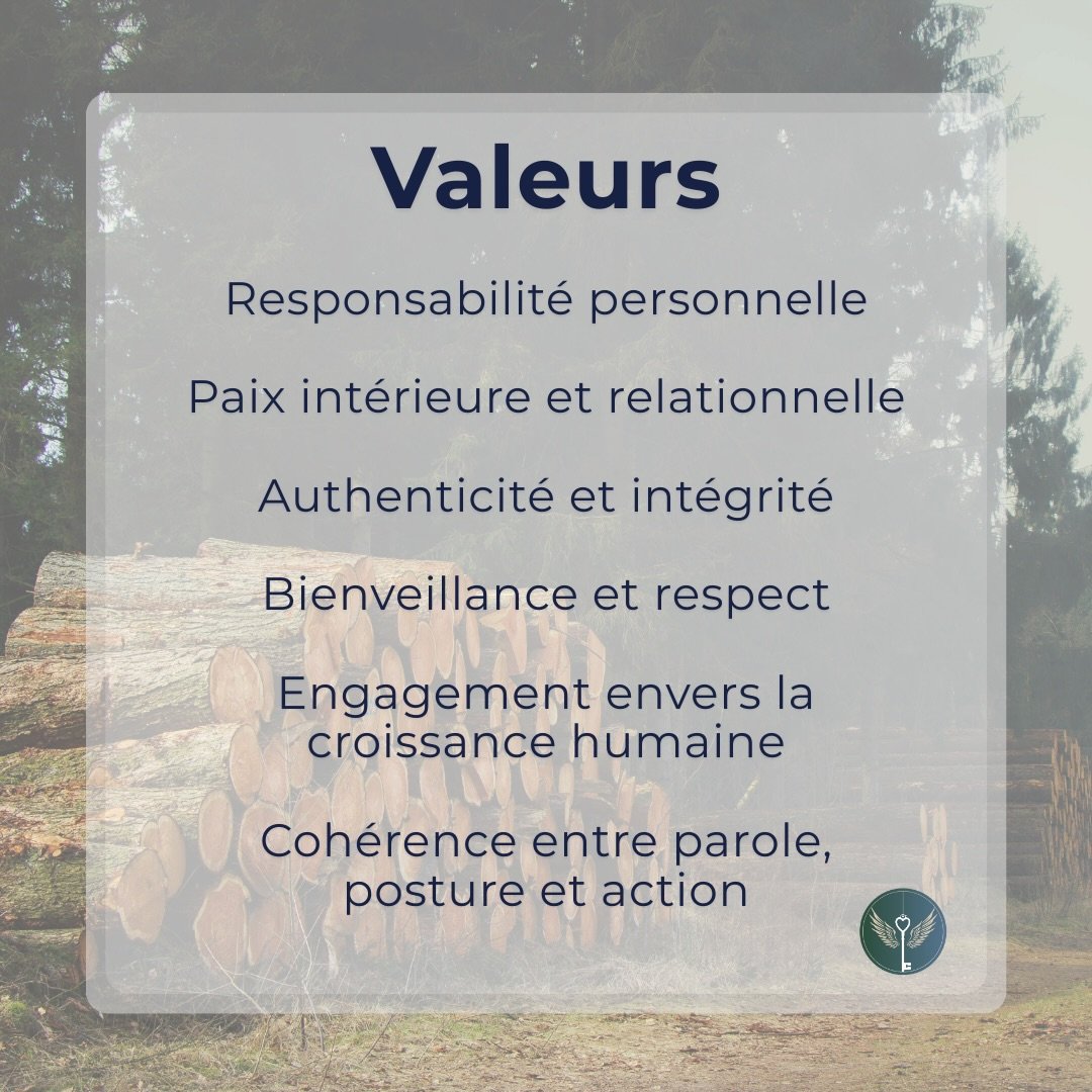 💫Responsabilit&eacute; personnelle.
💫Coh&eacute;rence entre ce que tu ressens, ce que tu dis et ce que tu fais.
💫Respect.
💫Bienveillance, sans &eacute;vitement.
💫Engagement r&eacute;el envers la croissance humaine.

Ces valeurs demandent de l&rs