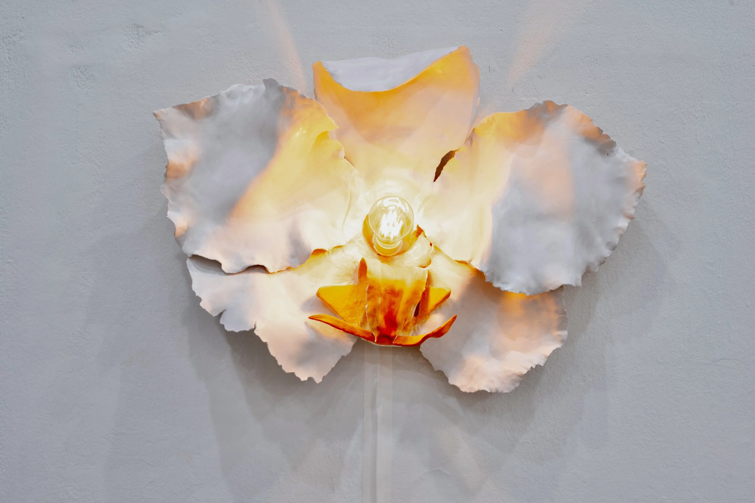 Orchid Effect (porcelain) 2025