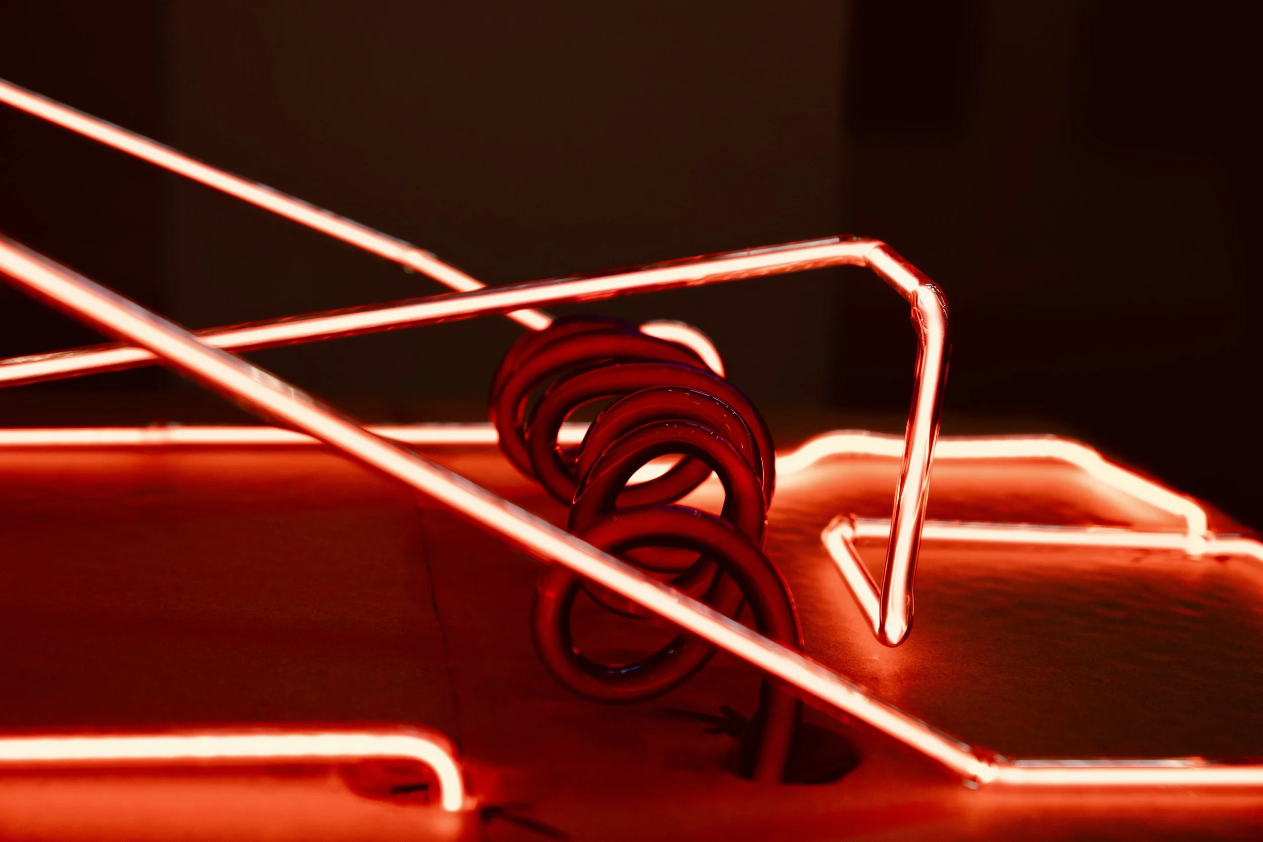 Illusio, Allure of Light (Neon Mouse Trap, 2025)