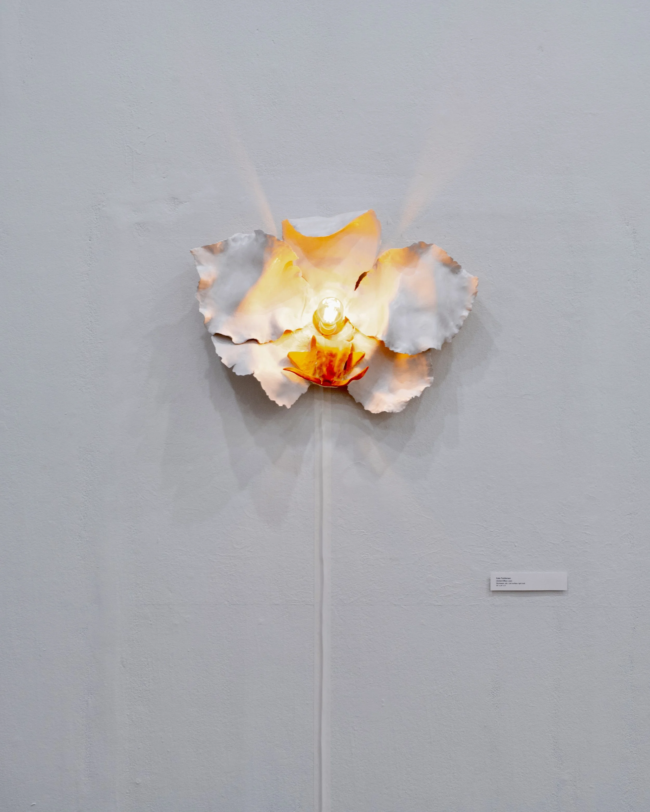 Orchid Effect (porcelain) 2025