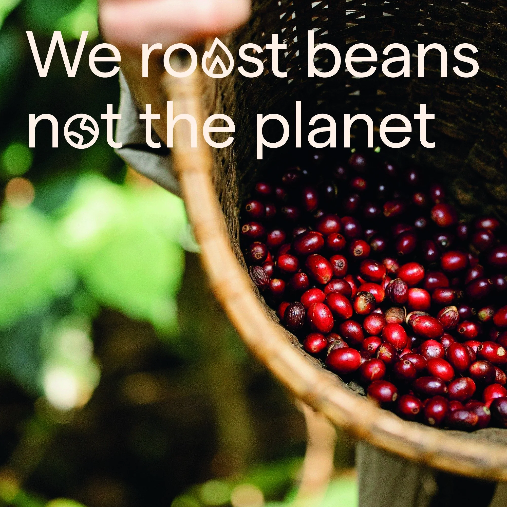 Most coffee roasters still run on gas. We don&rsquo;t.

We made the switch to 100% electric roasting powered by renewable energy &mdash; and cut roasting emissions by 99.5%. Verified by a full lifecycle assessment, that means:
🔻 From 0.52 kg CO₂e &r