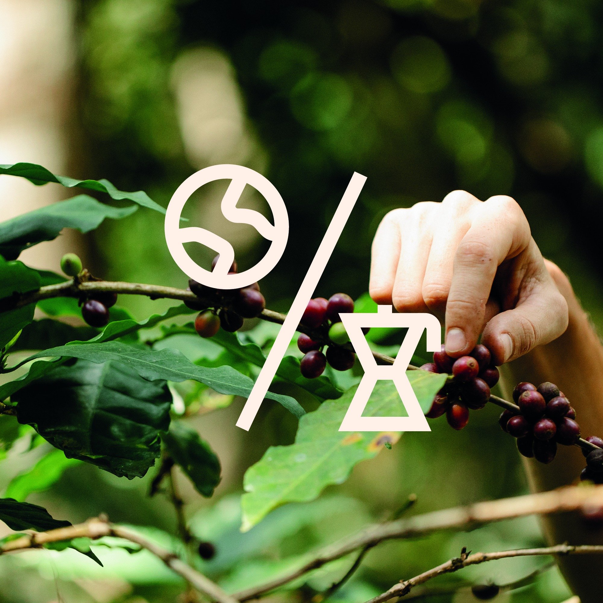 At Social Impact Coffee, we believe in creating a coffee industry that gives back to the planet. 🌱
Every cup of coffee you enjoy helps cultivate a regenerative future. Together, we&rsquo;re proving coffee can restore nature, empower farmers, and cre