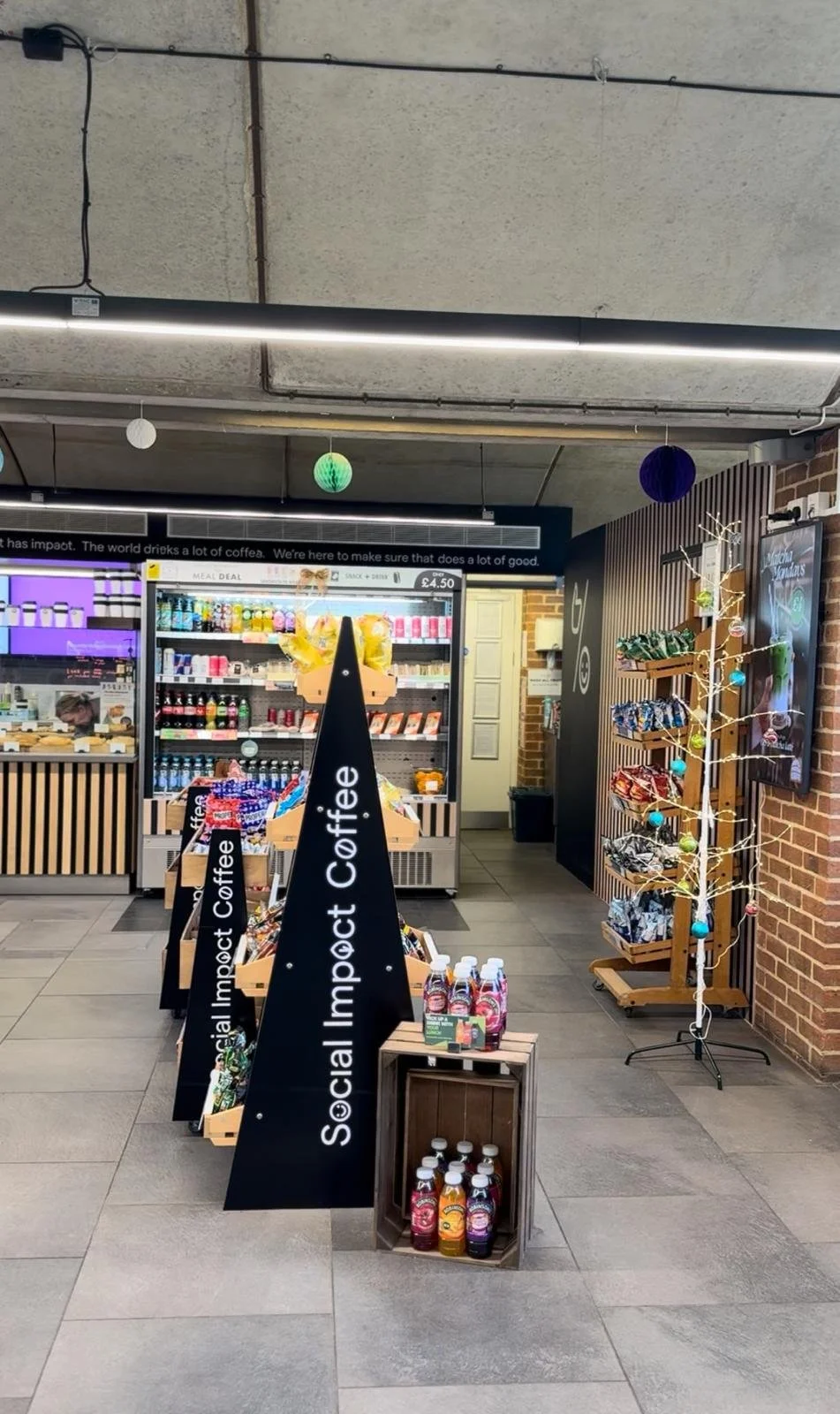 University Of Sussex