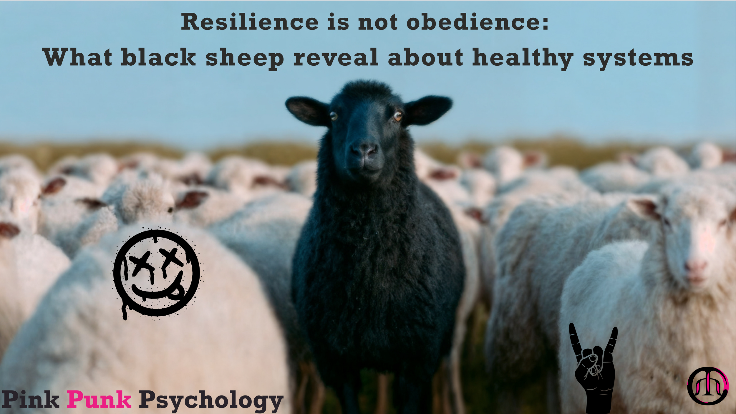 Zickig, stur... liegt das schwarze Schaf der Familie goldrichtig?