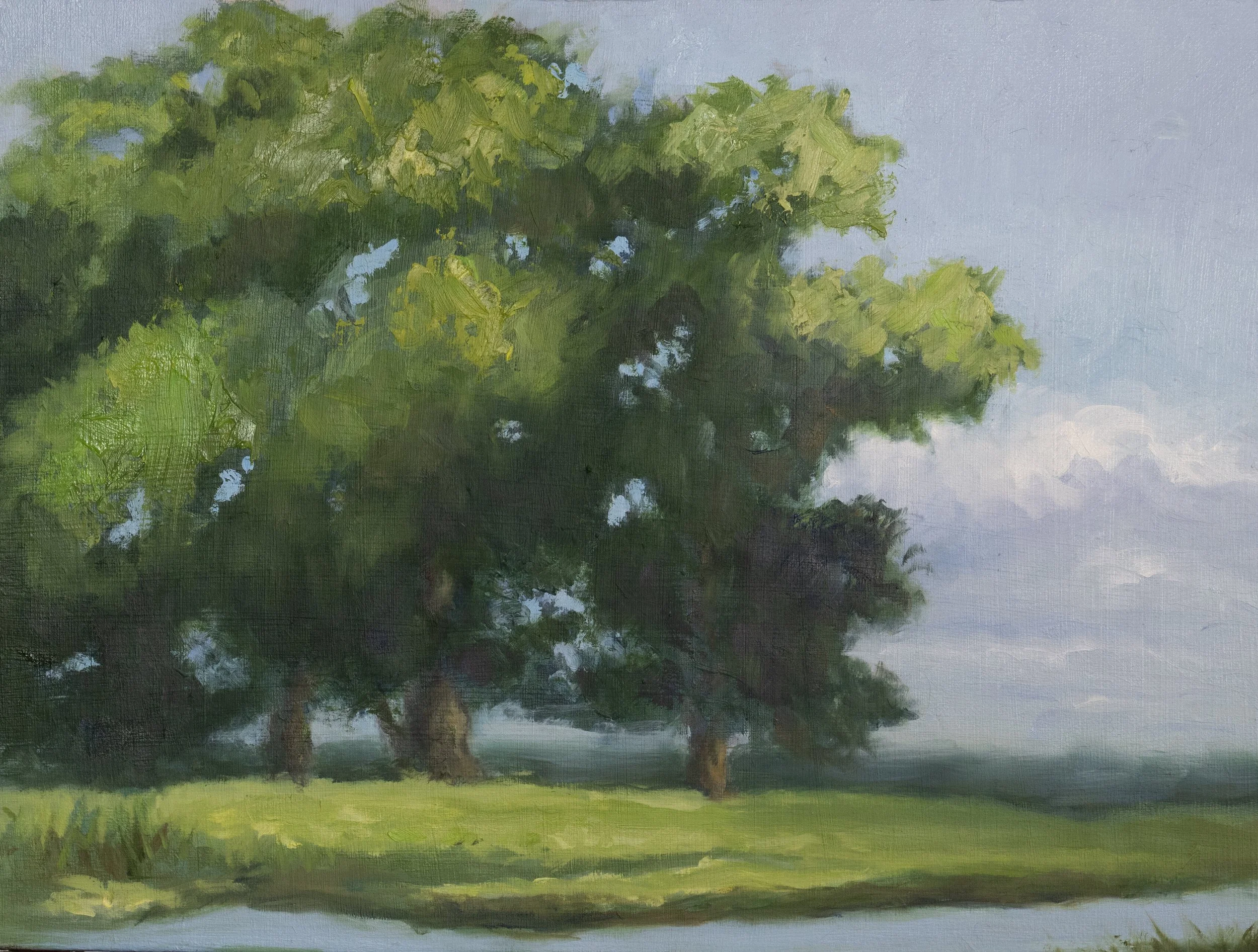 SUNDAY MORNING | Oil on Stretched Canvas | 11" x 14" | $400.00