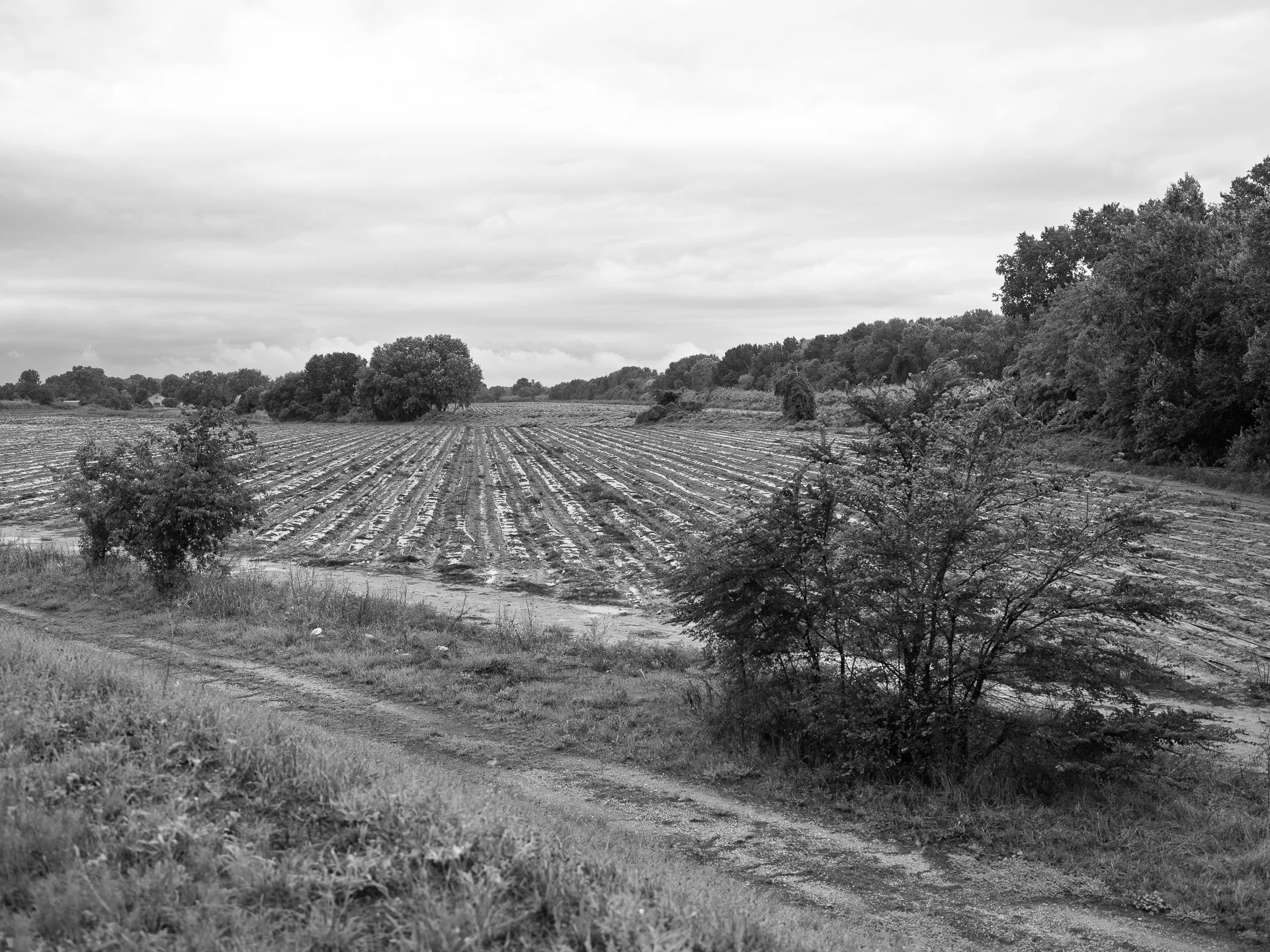 4_DSCF8657.jpg