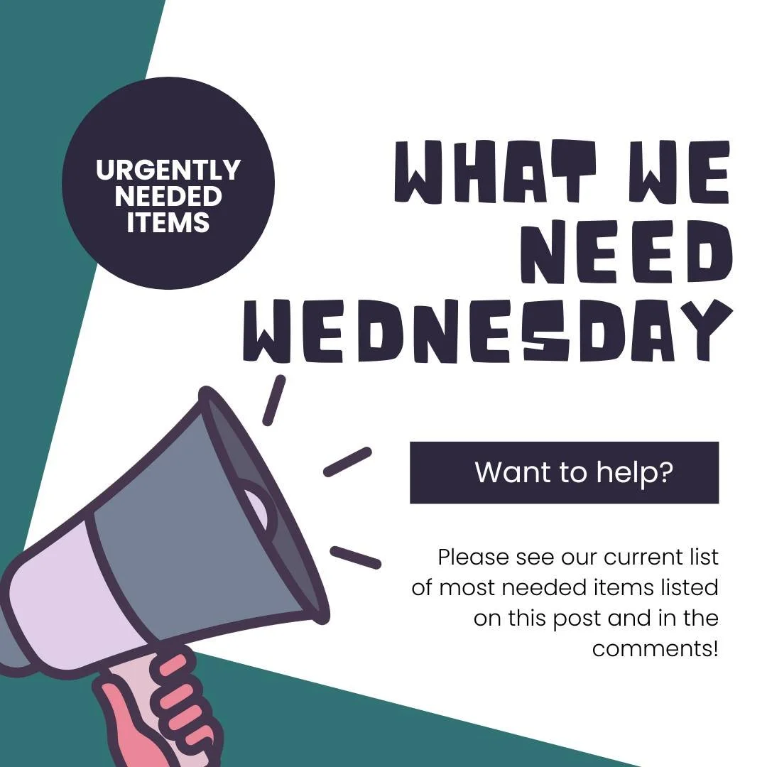 Looking for a way to give back or help out? 🙌

Supporting Bethlehem House means supporting mothers and babies as they work to create a safe, healthy, and loving environment. Your generosity goes directly toward meeting real, everyday needs for women