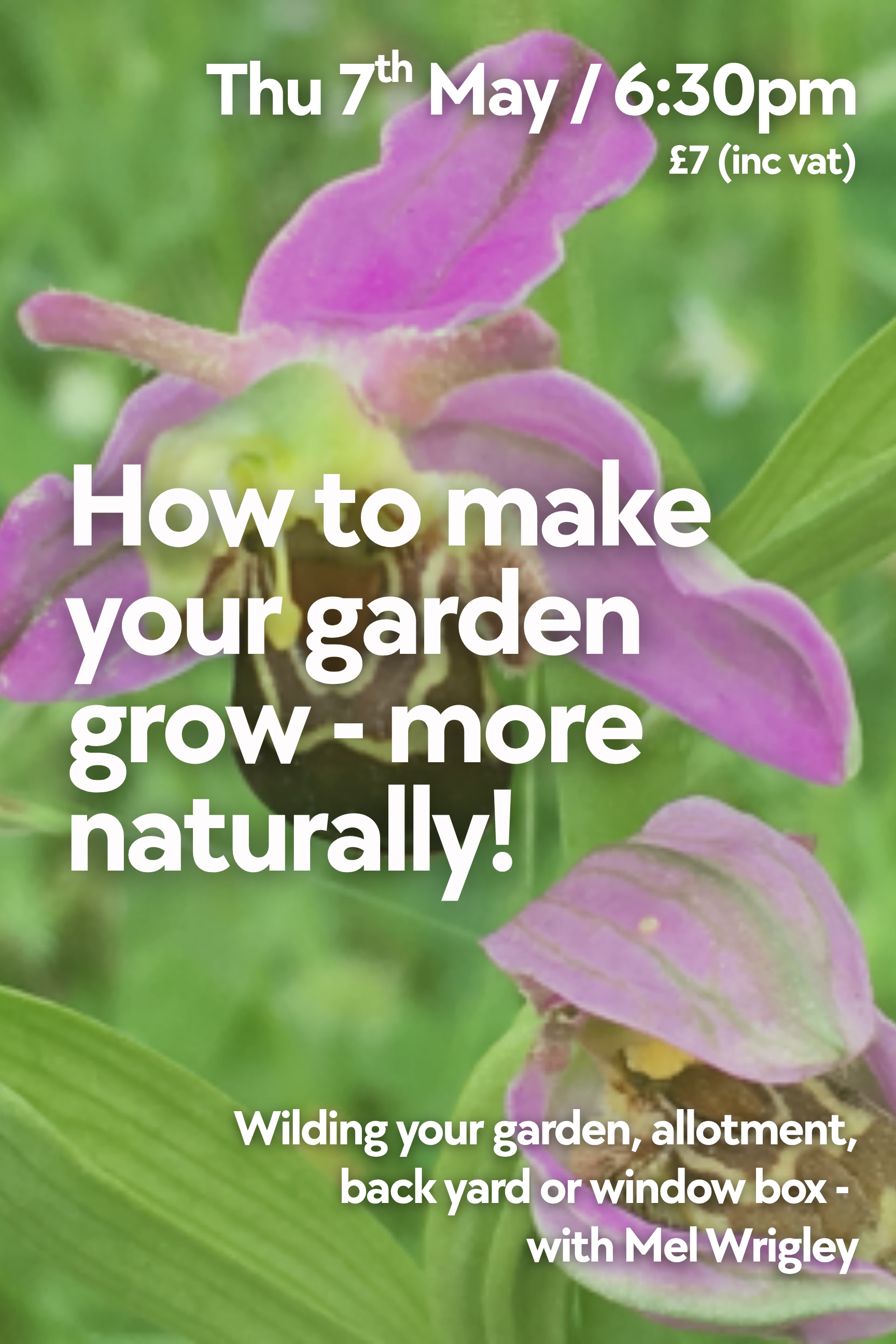 How to Make your Garden Grow - more naturally!