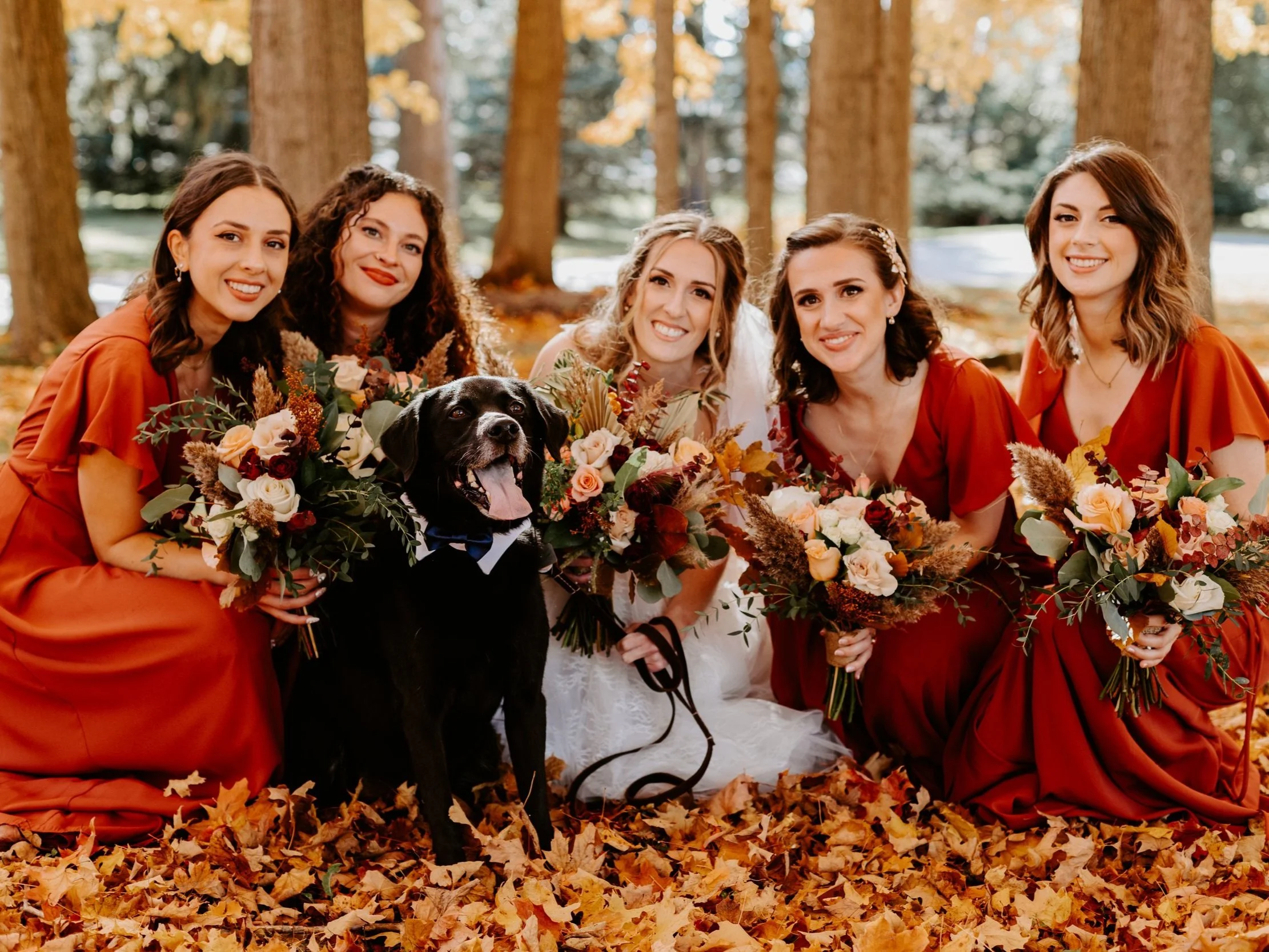Pup Featured: Milhouse 
Photography Credit: Constantine Photography