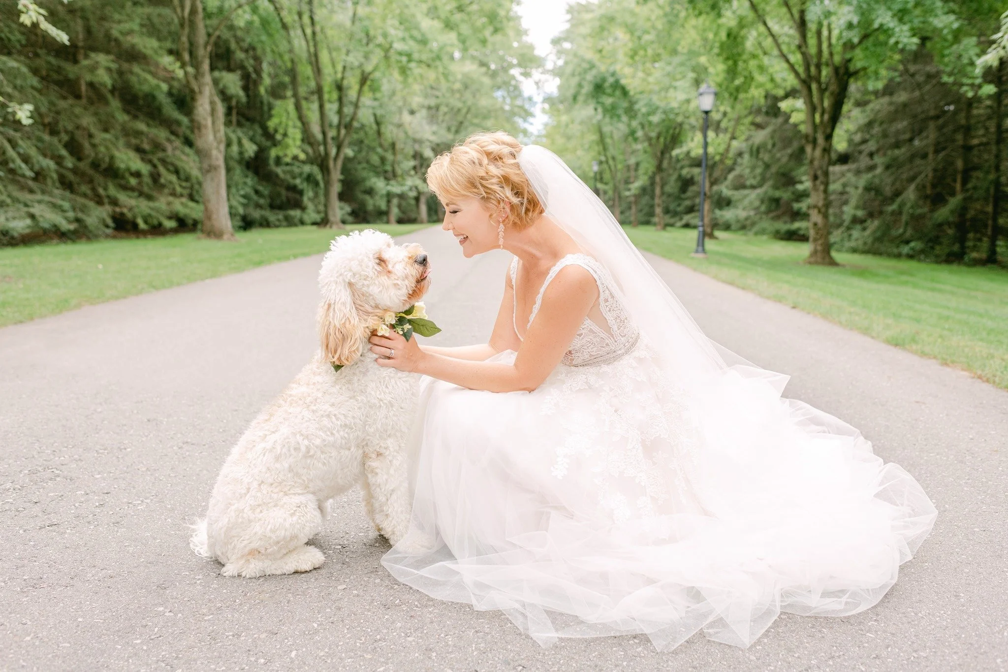 Pup Featured: Nellie
Photography Credit: Cloud Nine Photo