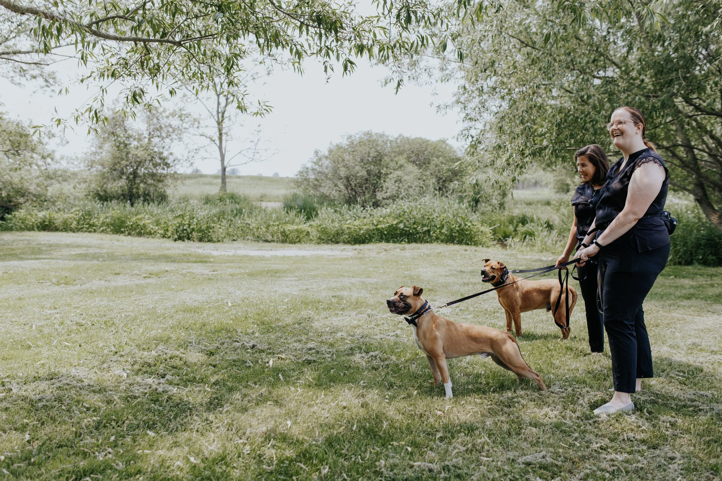 Pup brothers Bowie and Gibson look handsome in their bowties and ready for their close up at their parents wedding at WillowCreek Barn in Ailsa Craig with Black Dog Weddings