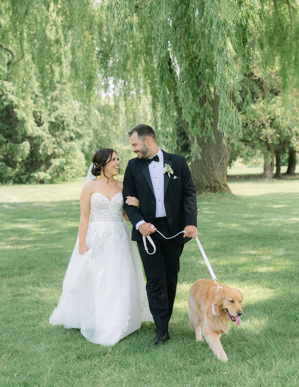 Just married! Golden Retriever Ginny walks with her parents and MontHill Golf & Country Club. Black Dog Weddings wedding dog attendant services. Photography Credit Lovely Sparrow Photography