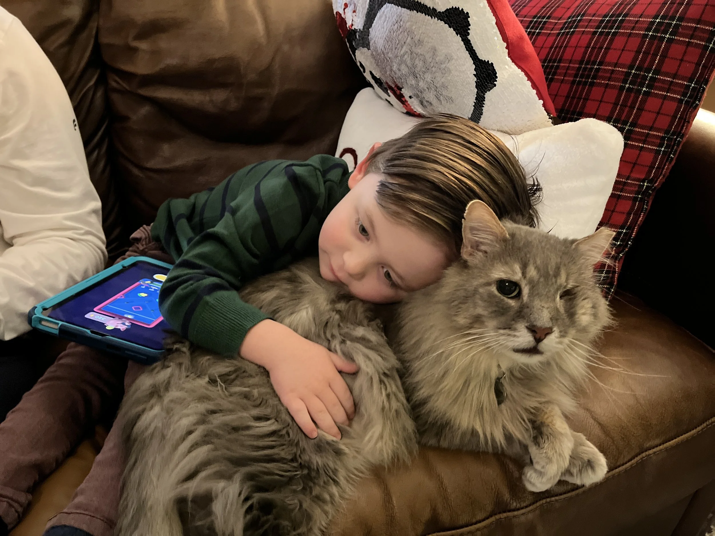 February 2024 Pets of the Month: Meet Carl and Finch!