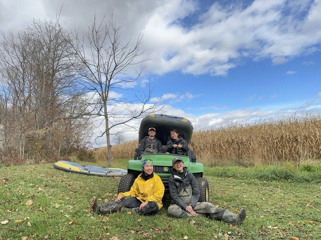 From Emissions to Storage: Understanding the Whole Wetland Carbon Budget