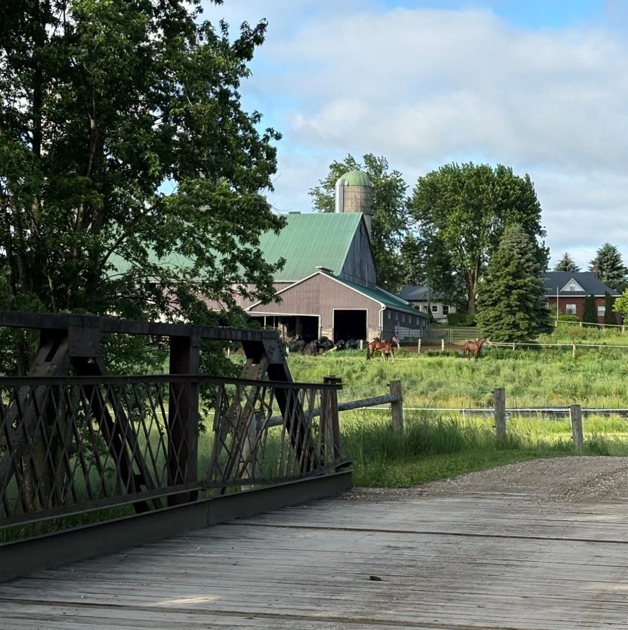 Nature-Based Solutions on Farms: Bridging the Gap Between Environmental Benefits and Economic Realities