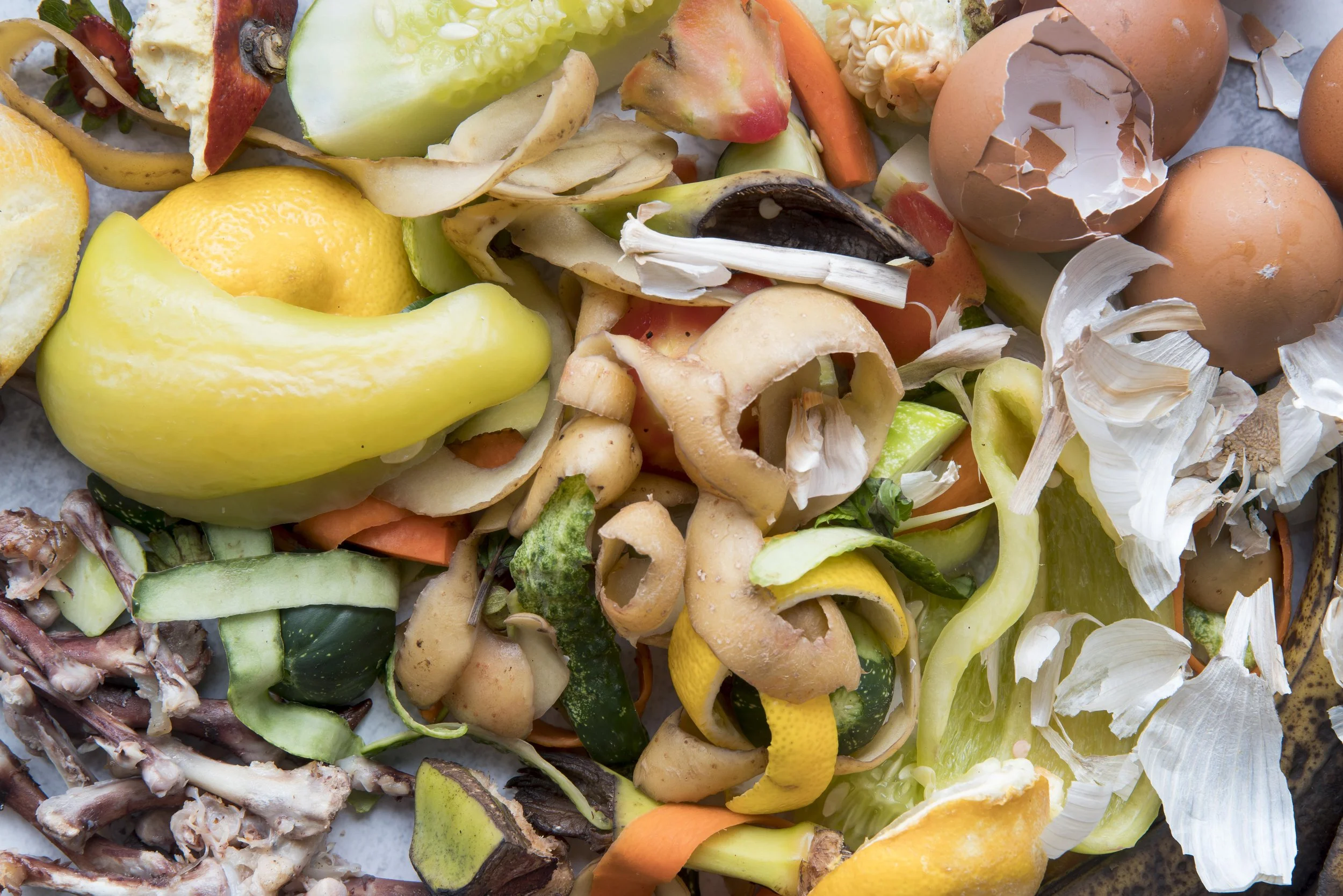 Turning Waste into Opportunity: Mapping Ontario's Organic Resources