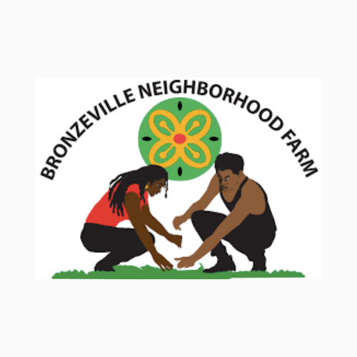 Bronzeville Neighborhood Farm Presents: Cooking Demo with the Double Stitch Twins