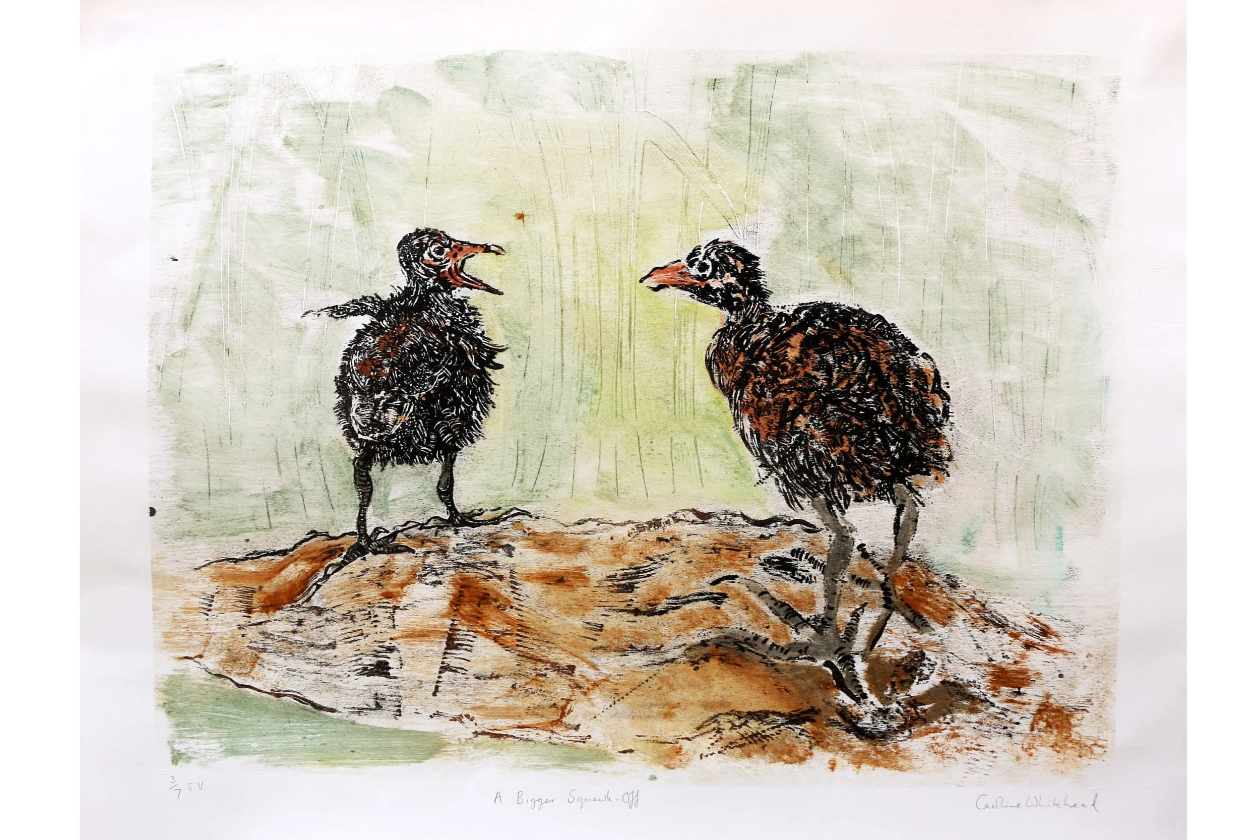 'A Bigger Squawk-Off'
Mokulito (wood litho) on Somerset paper
Variable edition of 7
Paper size 76 x 56 cm