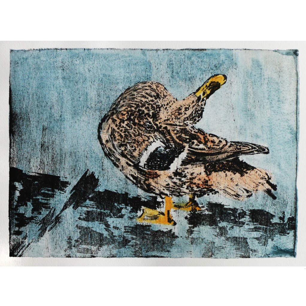 The Preening of Mrs Duck, mokulito