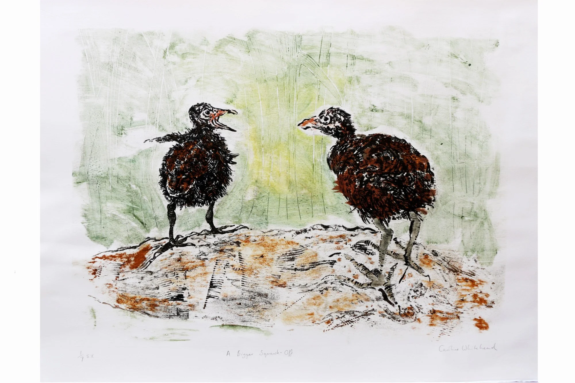 'A Bigger Squawk-Off'
Mokulito (wood litho) on Somerset paper
Variable edition of 7
Paper size 76 x 56 cm