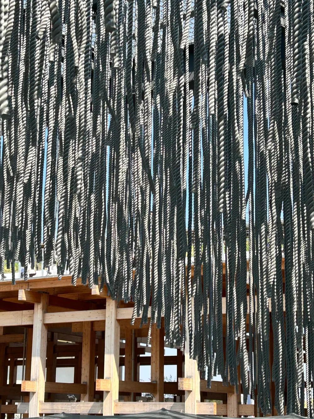 WhatsApp Image 2025-05-06 at 13.29.10.jpeg