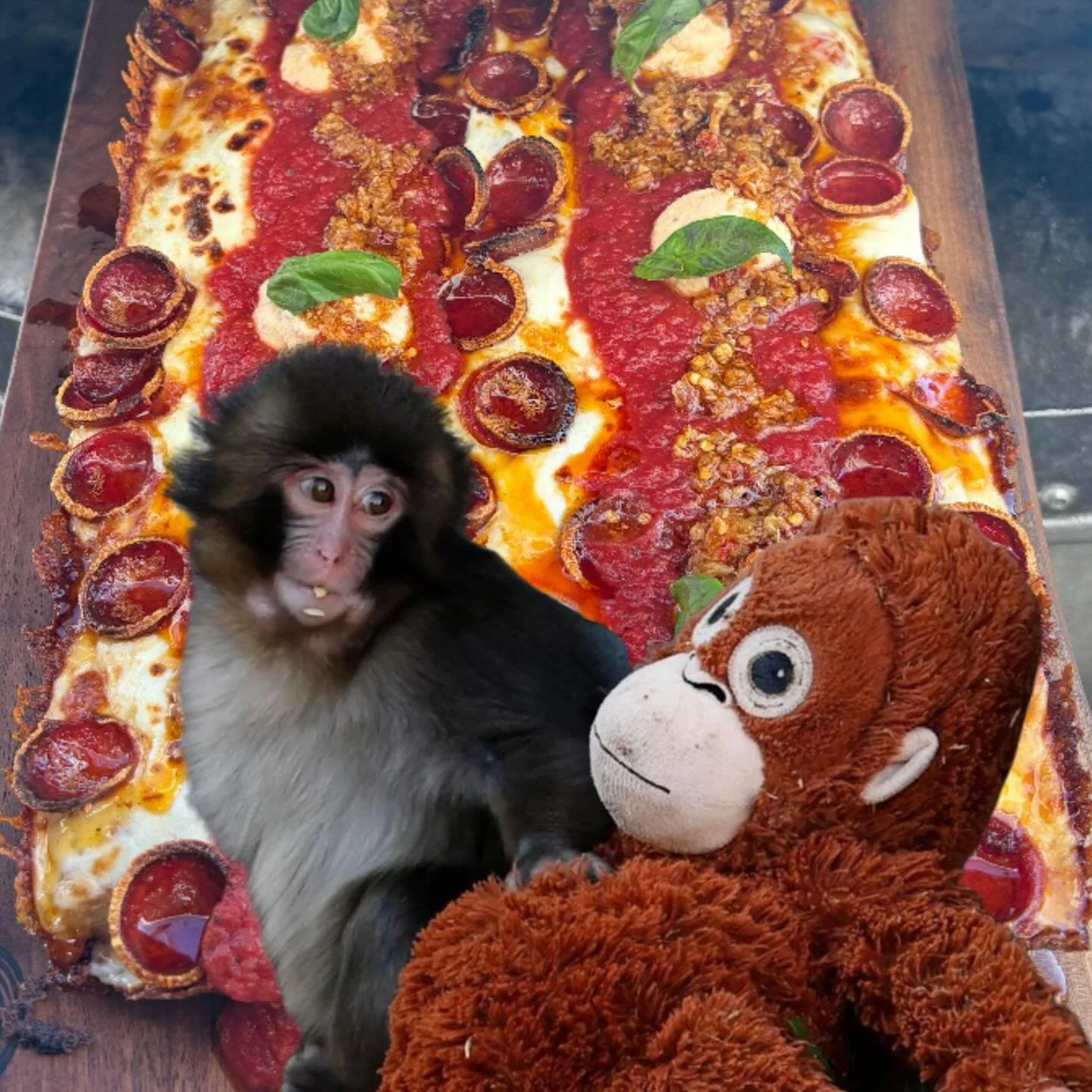 We hope that you can look at this pie like Punch looks at his Oran-mama. On Wednesdays we get thiiccc and we&rsquo;re bringing you Punch Drunk Love celebrating the invested global community that this little orphaned Macaque has brought us together wi