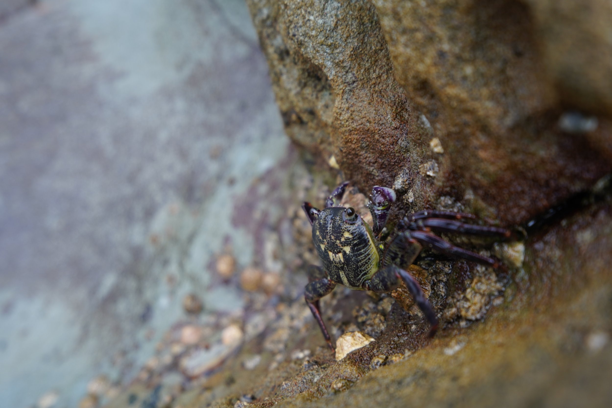 2024-01-16 17.30.26.jpg